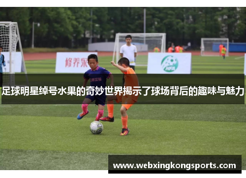 足球明星绰号水果的奇妙世界揭示了球场背后的趣味与魅力